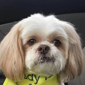 Meet your Posher, Lonnie